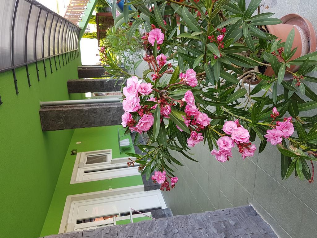 Apartman Taktik Velky Meder Exterior photo